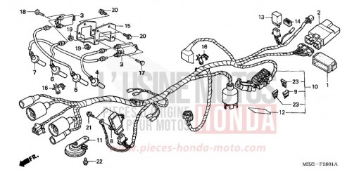 FAISCEAU DES FILS (CB600F22) CB600F22 de 2002
